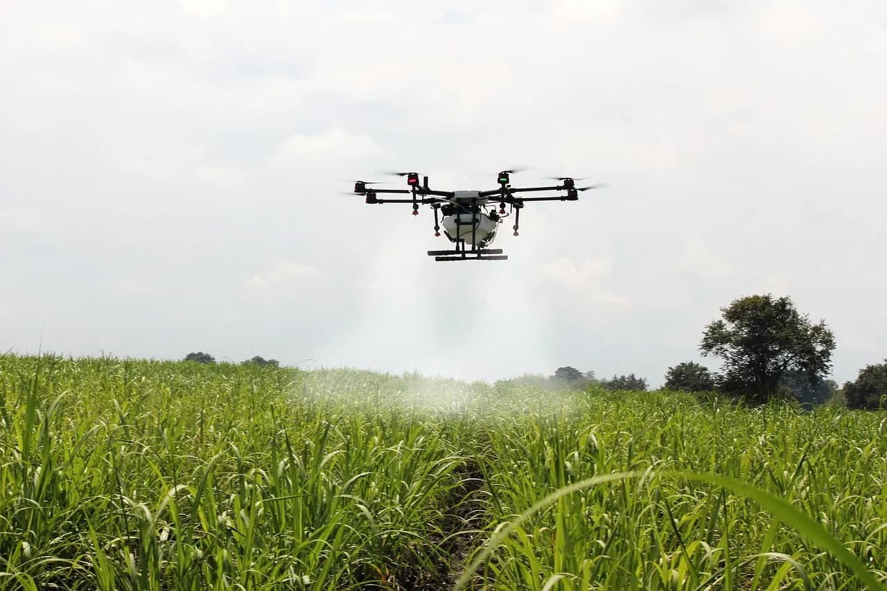 Dron prska visok usev odozgo